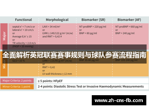 全面解析英冠联赛赛事规则与球队参赛流程指南