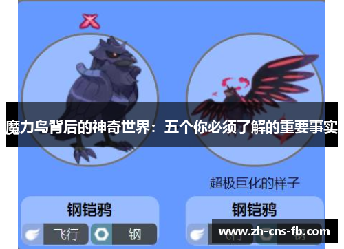 魔力鸟背后的神奇世界:五个你必须了解的重要事实 魔力鸟背后的神奇世界:五个你必须了解的重要事实