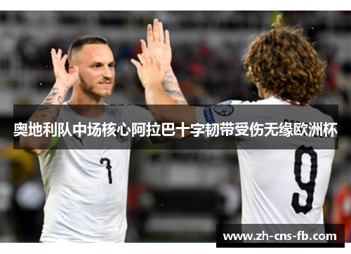 奥地利队中场核心阿拉巴十字韧带受伤无缘欧洲杯
